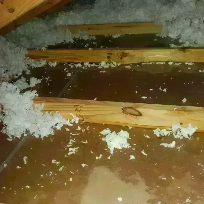 Attic Water Damage in Robbinsville, NJ